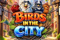 Birds in The City
